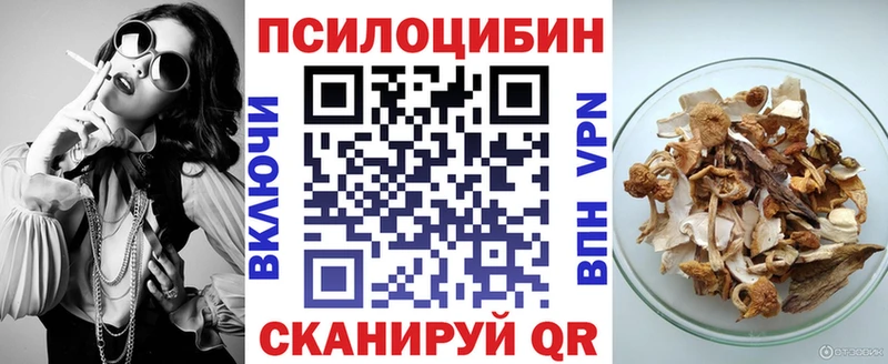 мега ONION где найти наркотики Кузнецк Псилоцибиновые грибы ЛСД
