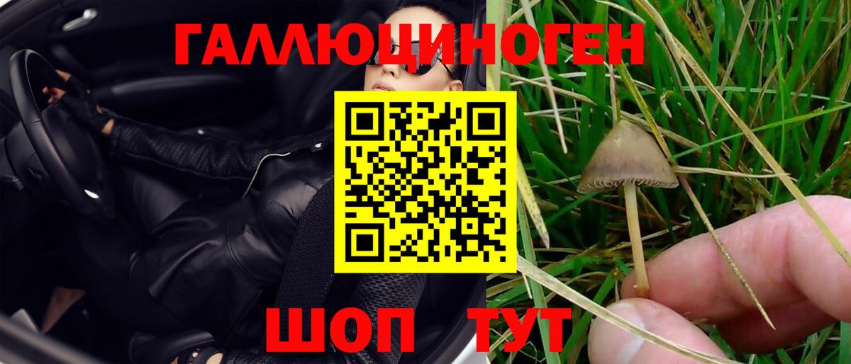 цены   Вход с VPN  Псилоцибиновые грибы мицелий  Кузнецк  Галлюциногенные грибы мухоморы 