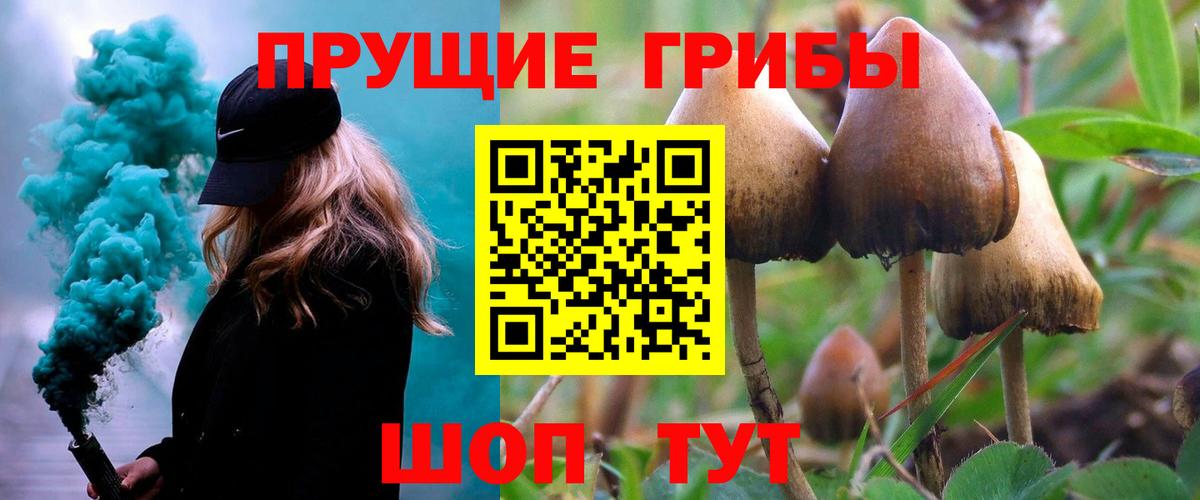 Галлюциногенные грибы мухоморы Кузнецк